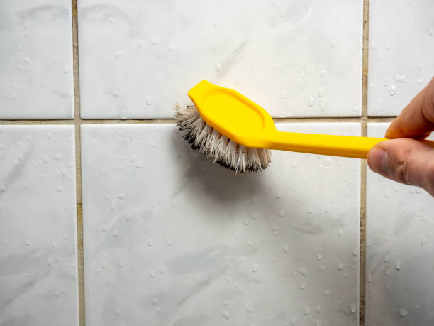 Best Attic Mold Removal  in Granville, WV