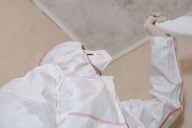 Crawl Space Mold Removal in Granville, WV